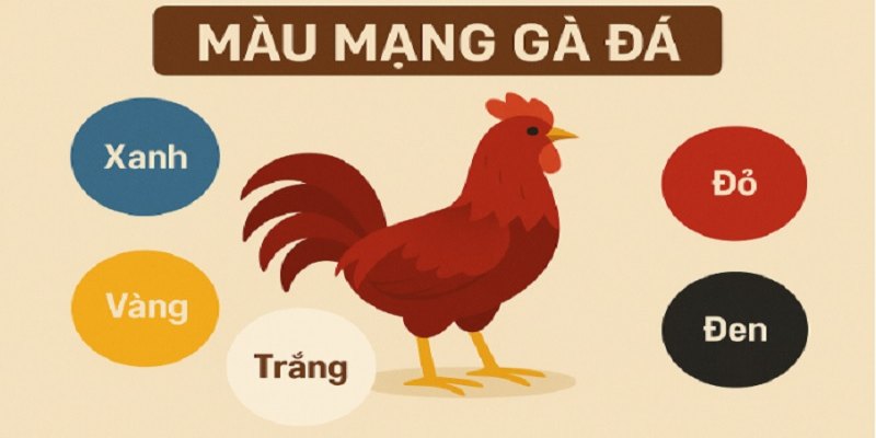 Hướng dẫn cách phân chia màu mệnh chiến kê 
