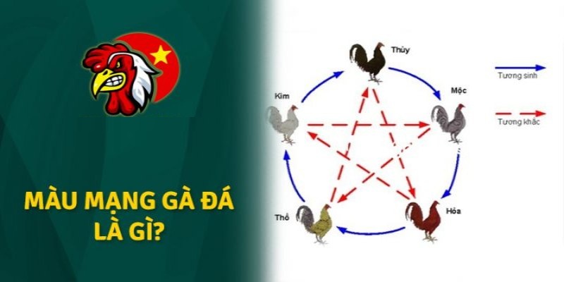 Khám phá vài điểm về màu mạng đá gà